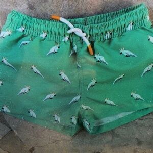 Green Parrot Print Kids Swim Trunks